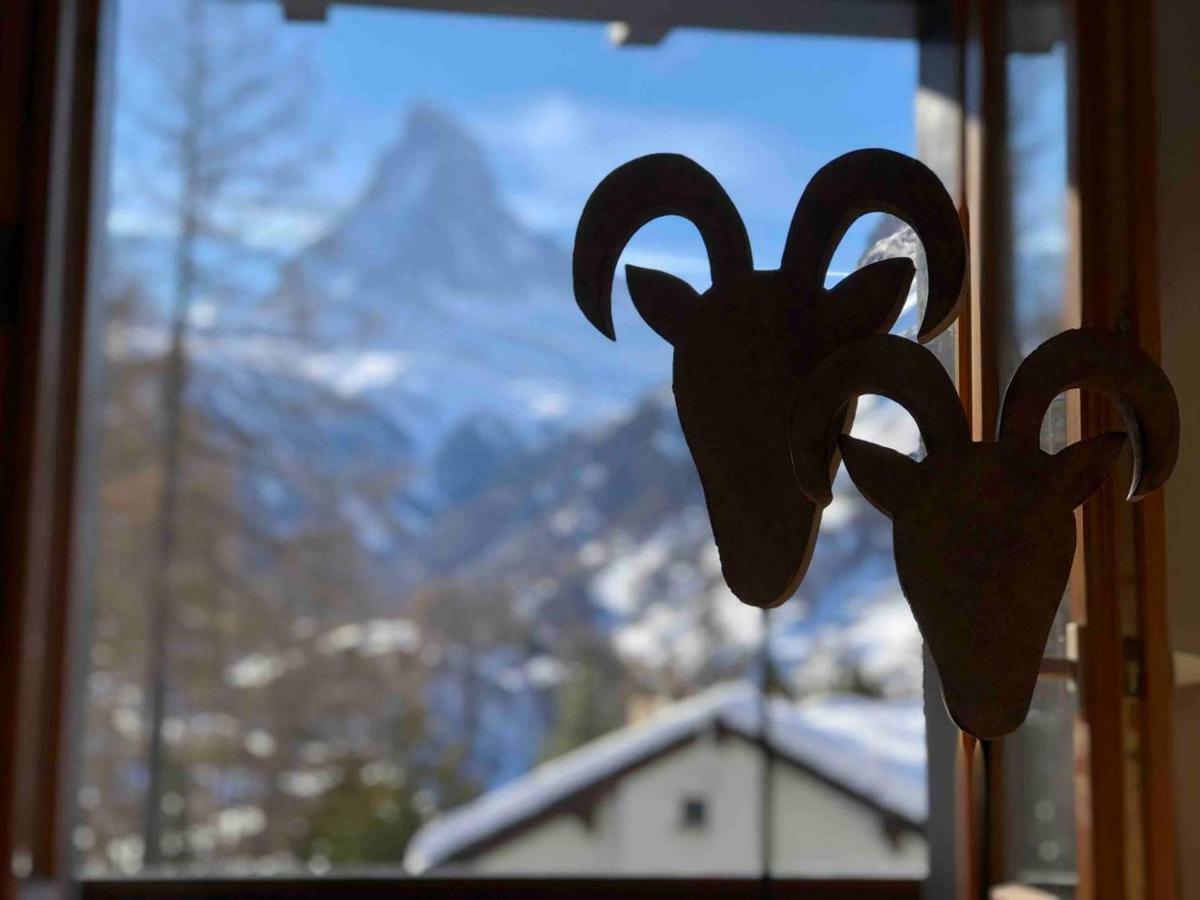 Apartment With Beautiful Views In Zermatt Eksteriør bilde